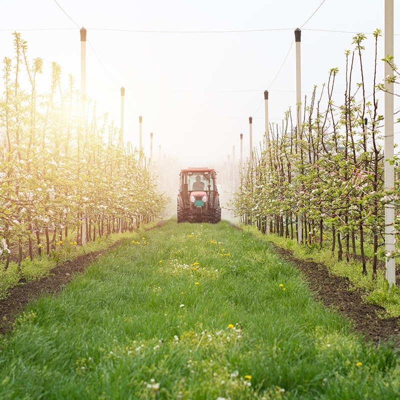 Turbo Atomizer Kullanım Alanları